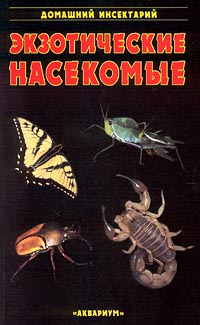 Экзотические насекомые Серия: Домашний инсектарий инфо 3533m.